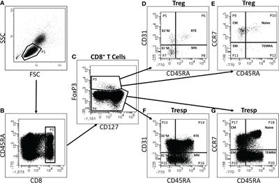 Chronic Kidney Failure Provokes the Enrichment of Terminally Differentiated CD8+ T Cells, Impairing Cytotoxic Mechanisms After Kidney Transplantation